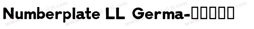 Numberplate LL Germa字体转换